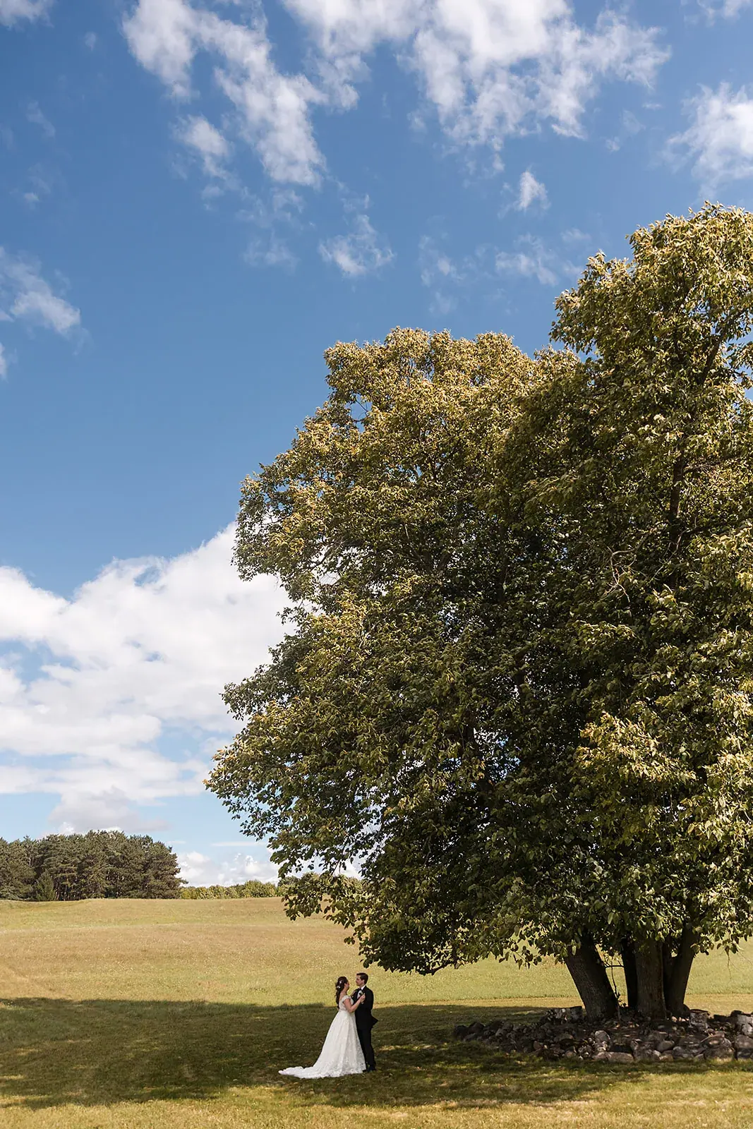 Bride and groom under oak tree wide — Amelia & Howard's wedding at Sunset Hill Wedding Barn, Central Lake