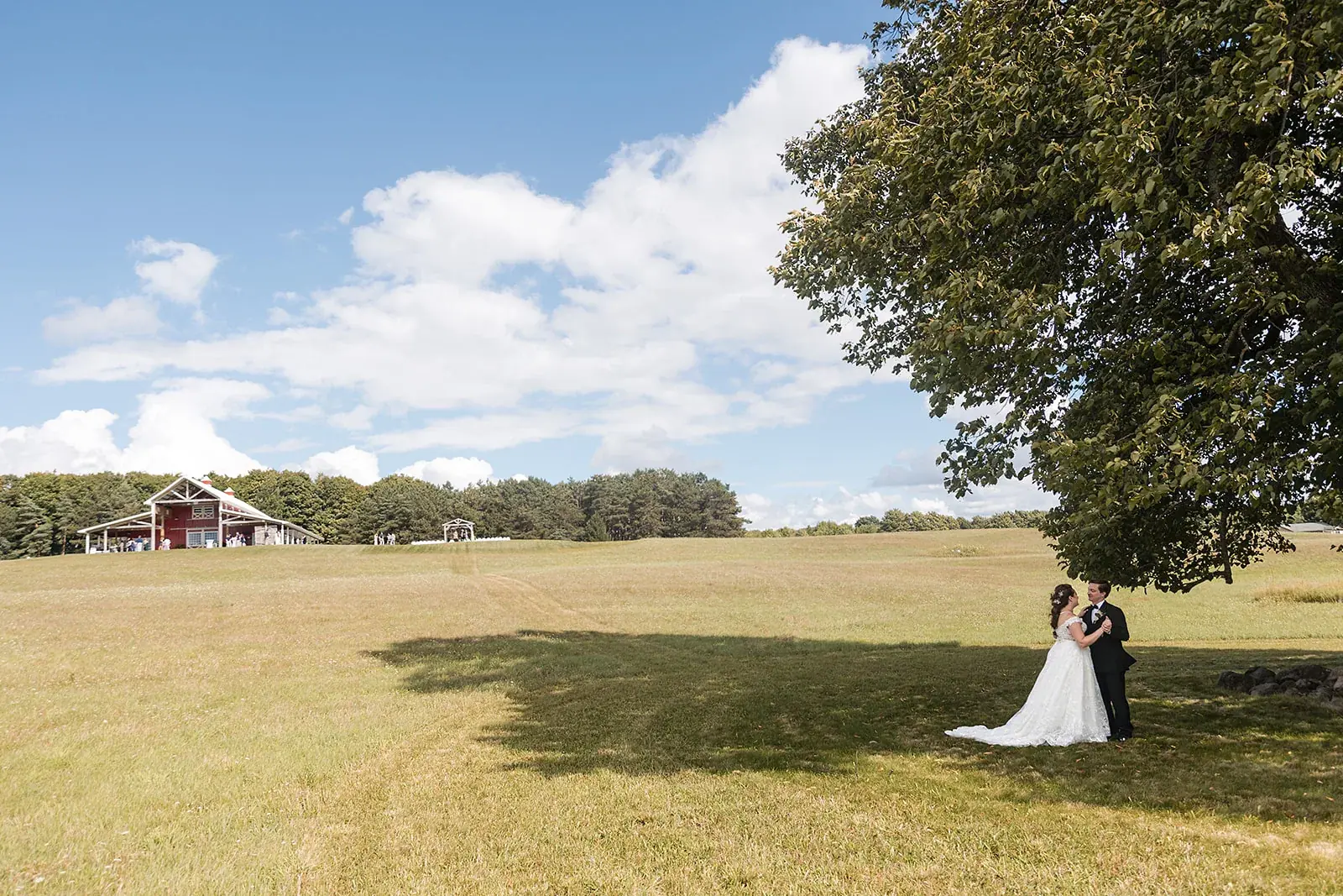 Bride and groom under tree wide — Amelia & Howard's wedding at Sunset Hill Wedding Barn, Central Lake