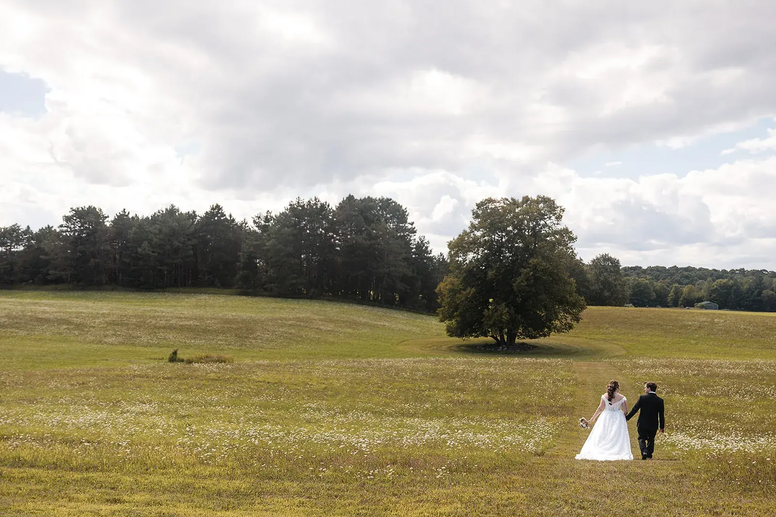 Bride and groom walking field wide — Amelia & Howard's wedding at Sunset Hill Wedding Barn, Central Lake