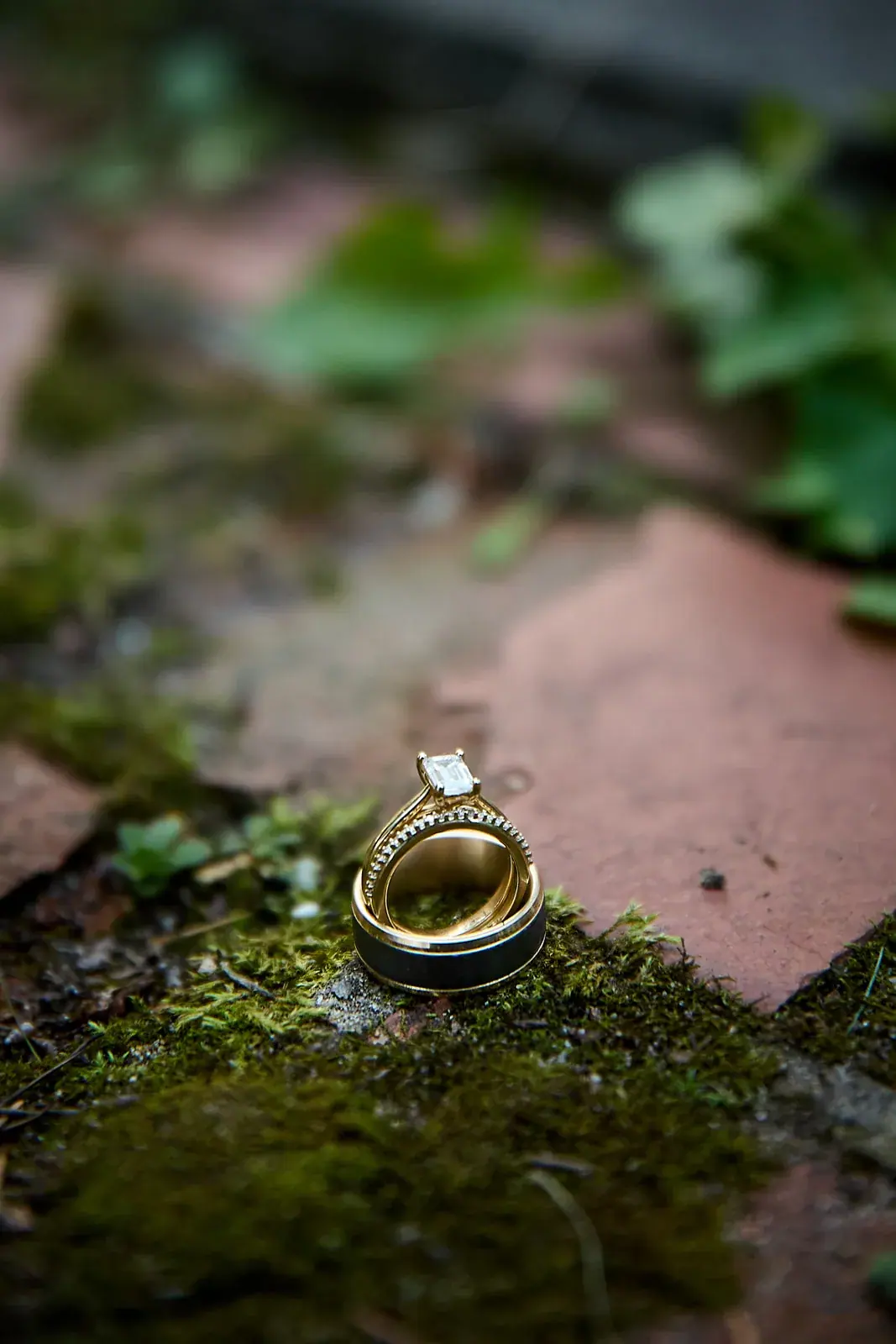 Wedding rings on moss — Claire & Nick's wedding at Howe Marine, Indian River