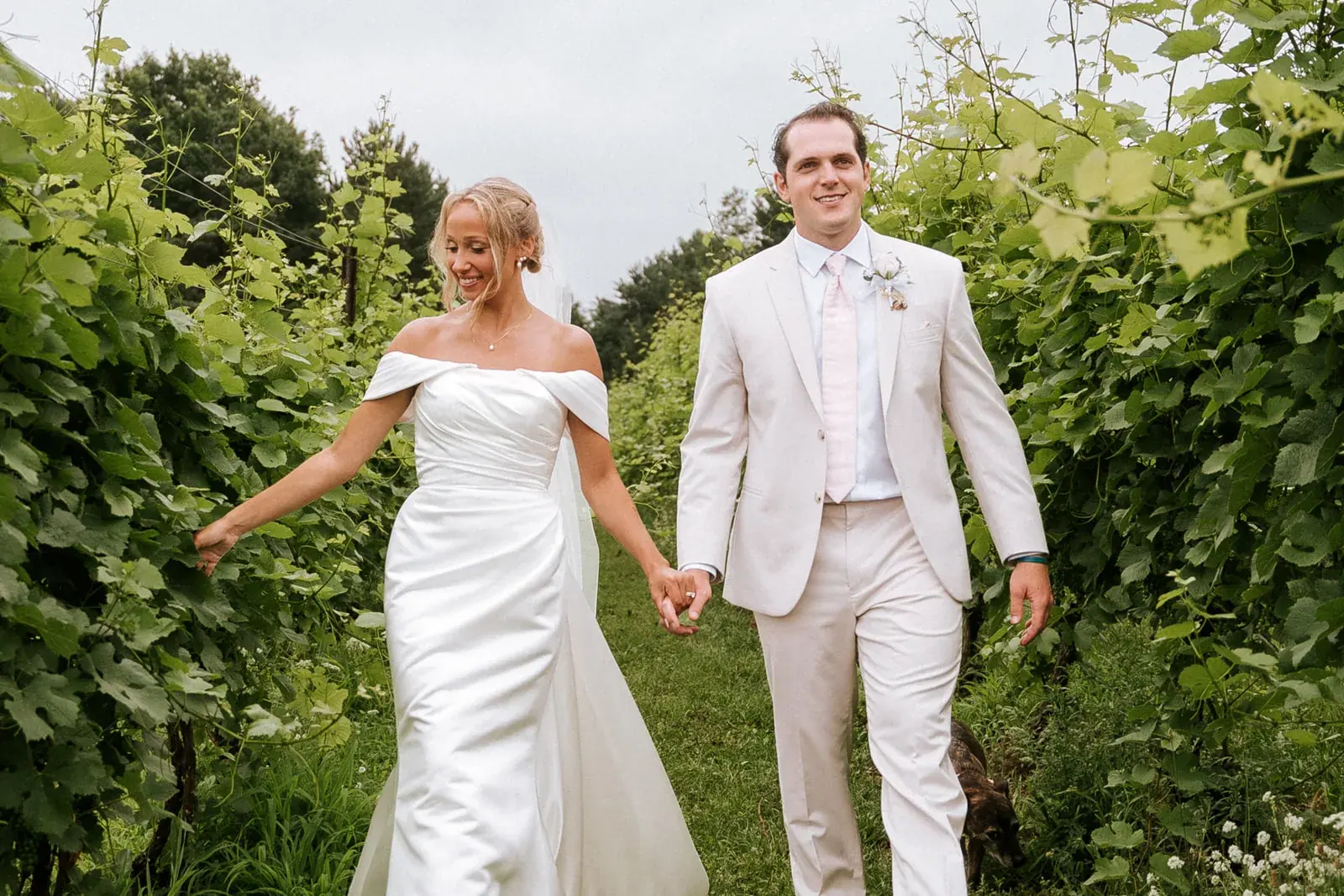 Bride and groom walking vineyard — Heather & Evan's wedding at Black Star Farms