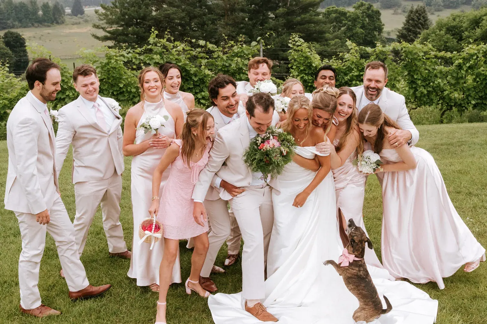 Wedding party laughing dog — Heather & Evan's wedding at Black Star Farms