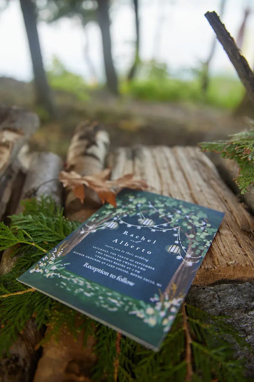 Invitation on birch logs — Rachel & Alberto's wedding at Higher Ground at Lake Louise, Boyne Falls