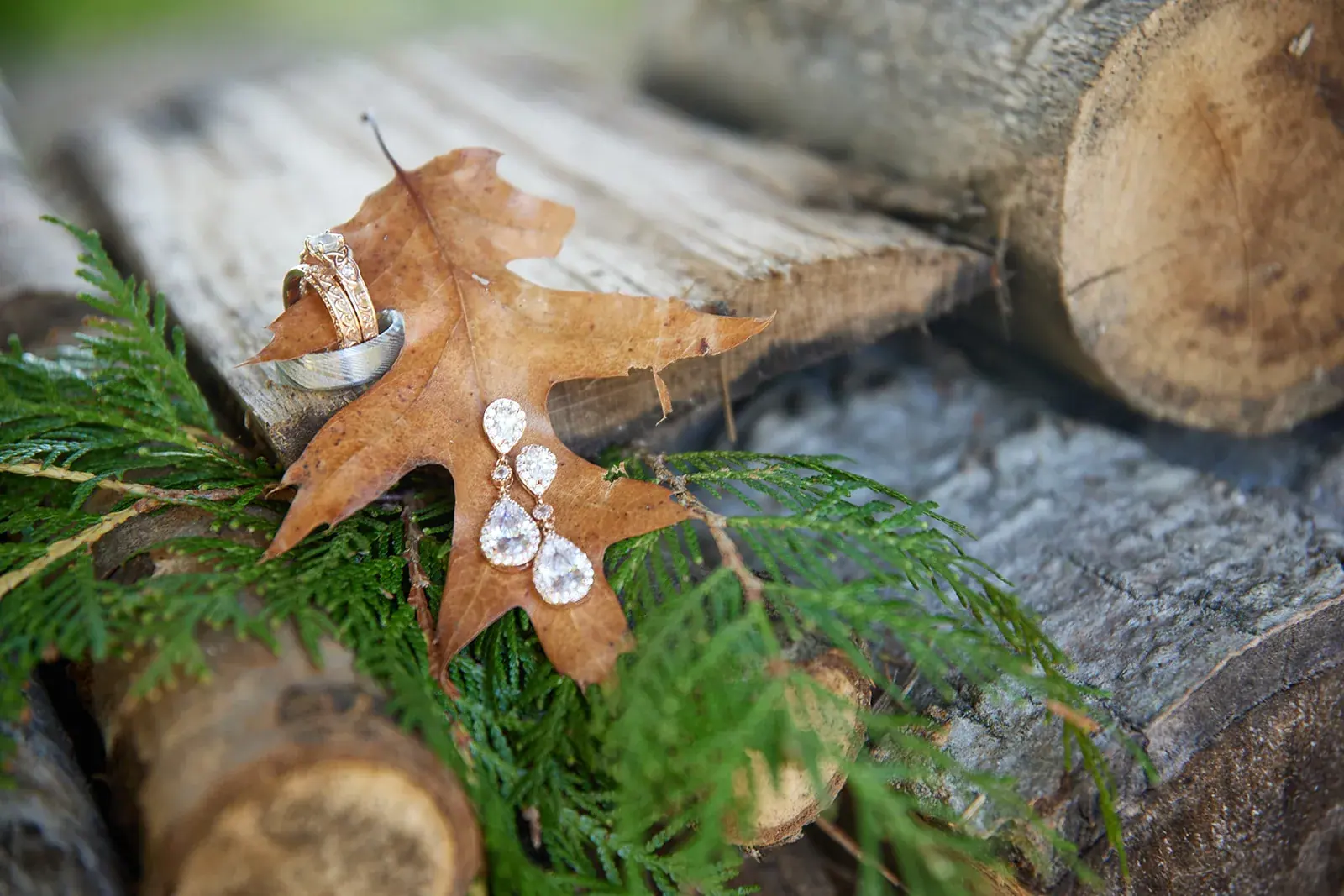 Wedding rings oak leaf detail — Rachel & Alberto's wedding at Higher Ground at Lake Louise, Boyne Falls