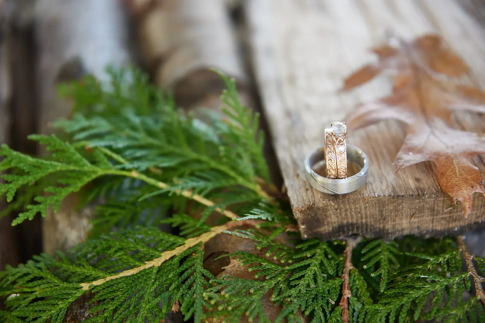 Wedding rings pine detail — Rachel & Alberto's wedding at Higher Ground at Lake Louise, Boyne Falls